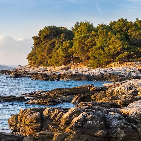 招待所 金贝壳1号旅馆 穆泰尔岛