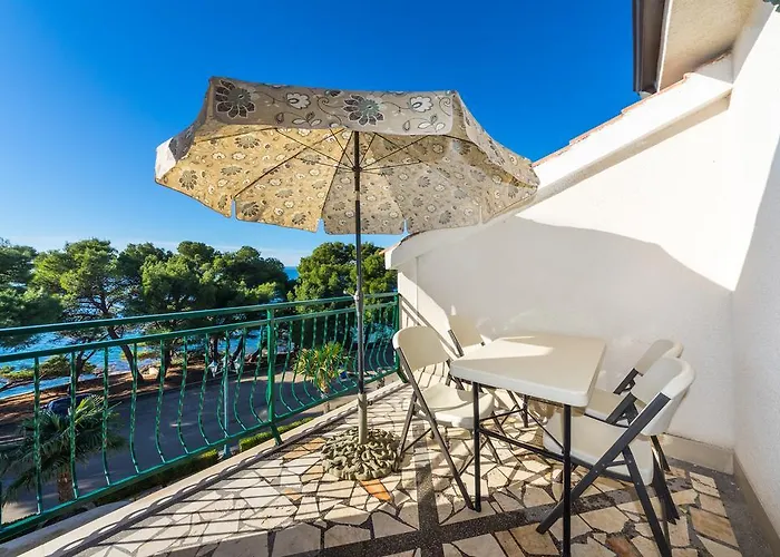 Golden Shell 1 Murter