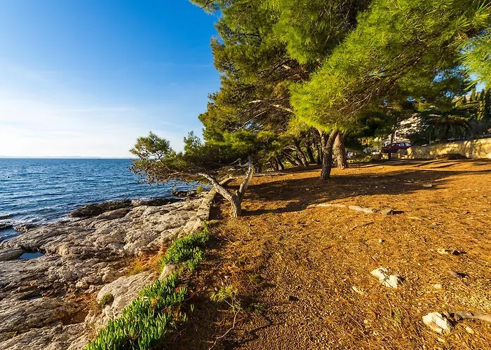 Gasthuis Golden Shell 1